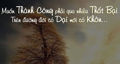 Những câu nói hay về cuộc sống