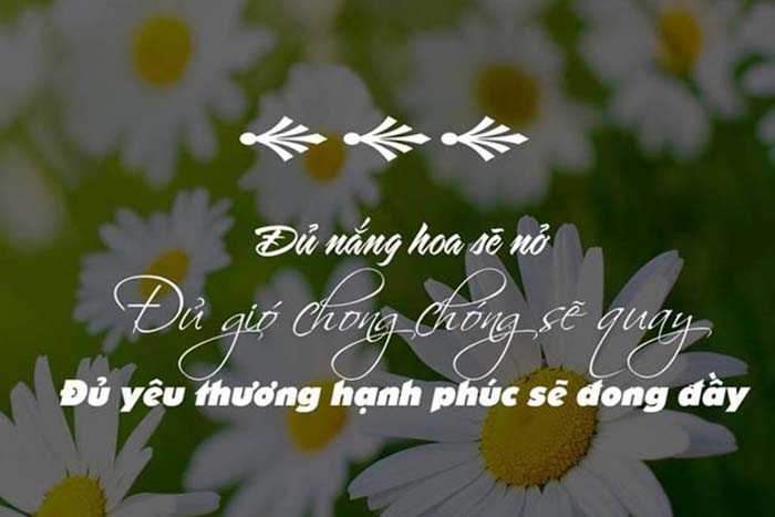 Những câu nói hay về cuộc sống