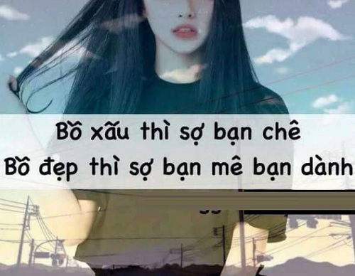 STT Hay Chất, Ngắn Gọn, Ý Nghĩa