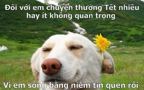 Ảnh chết tiền thưởng Tết năm nay!