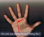 xem đường chỉ tay