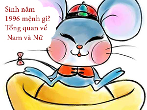 Sinh năm 1996 mệnh gì Tổng quan tuổi 1996 về Nam và Nữ