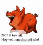 2007 là tuổi gì?