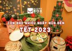 Còn bao nhiêu ngày nữa đến tết 2023