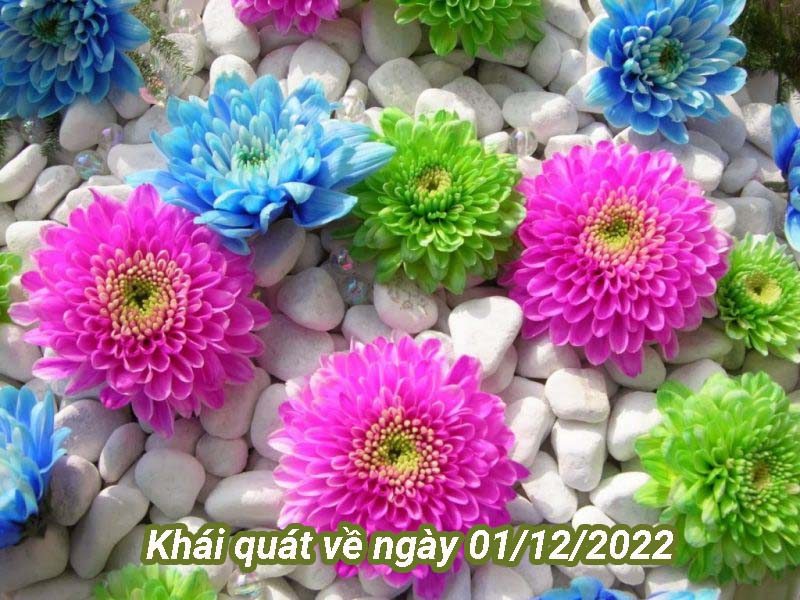 Khái quát về ngày 01/12/2022