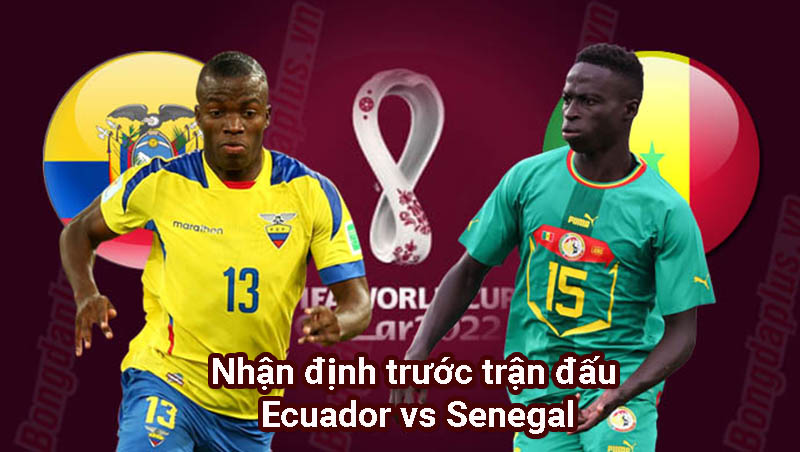 Nhận định trước trận đấu Ecuador vs Senegal