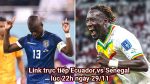 Link trực tiếp Ecuador vs Senegal lúc 22h ngày 29/11