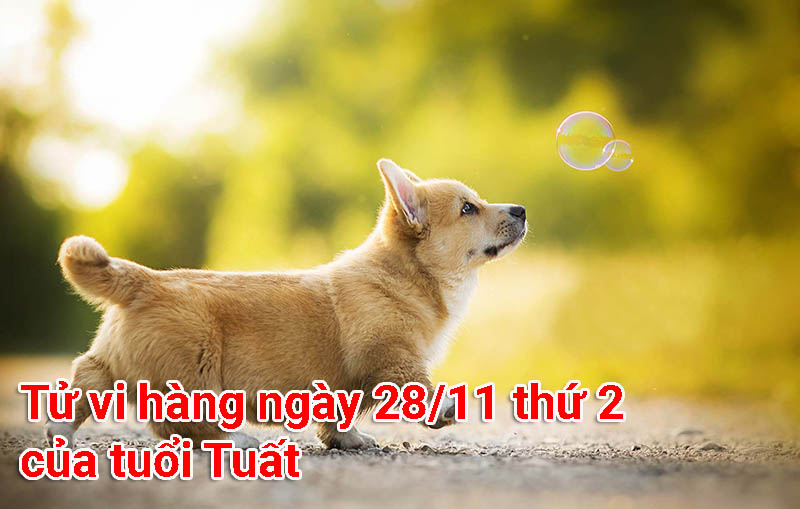 Tử vi hàng ngày 28/11 thứ 2 của tuổi Tuất