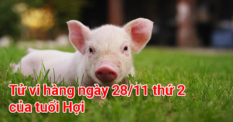 Tử vi hàng ngày 28/11 thứ 2 của tuổi Hợi