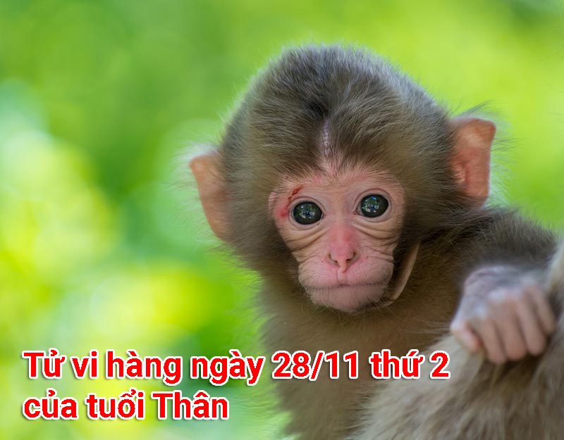 Tử vi hàng ngày 28/11 thứ 2 của tuổi Thân