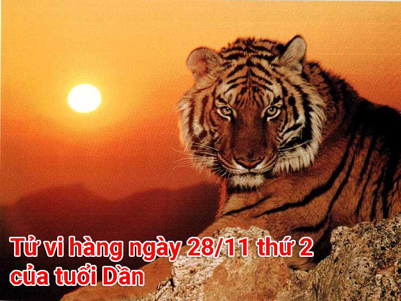 Tử vi ngày 28/11 thứ 2 của tuổi Dần