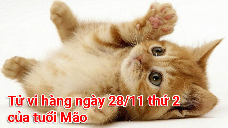 Tử vi ngày 28/11 thứ 2 của tuổi Mão