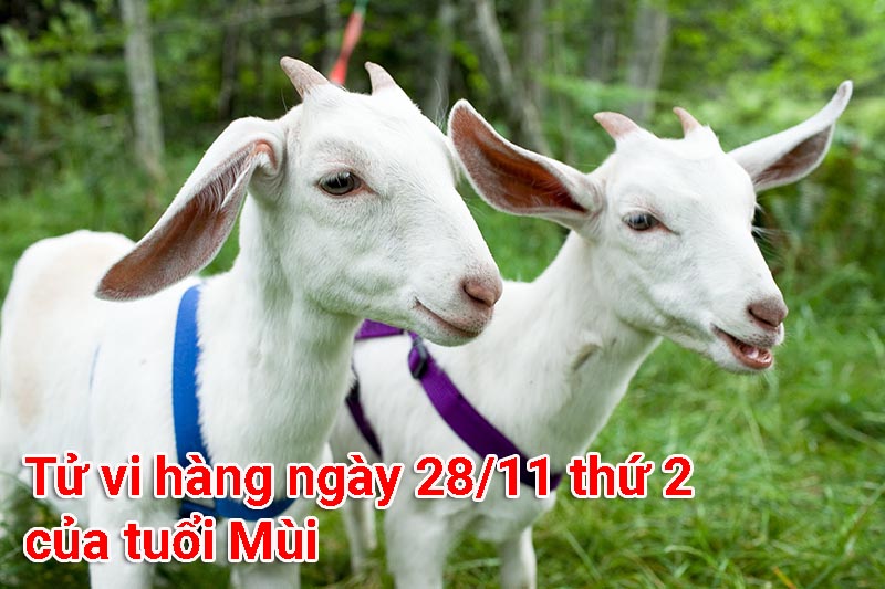 Tử vi hàng ngày 28/11 thứ 2 của tuổi Mùi