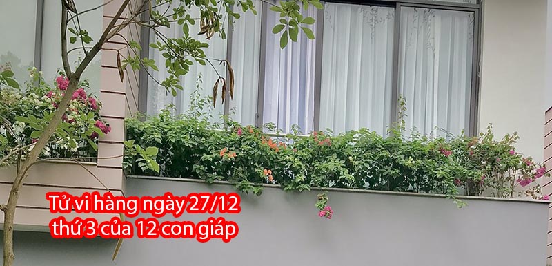 Tử vi hàng ngày 27/12 thứ 3 của 12 con giáp