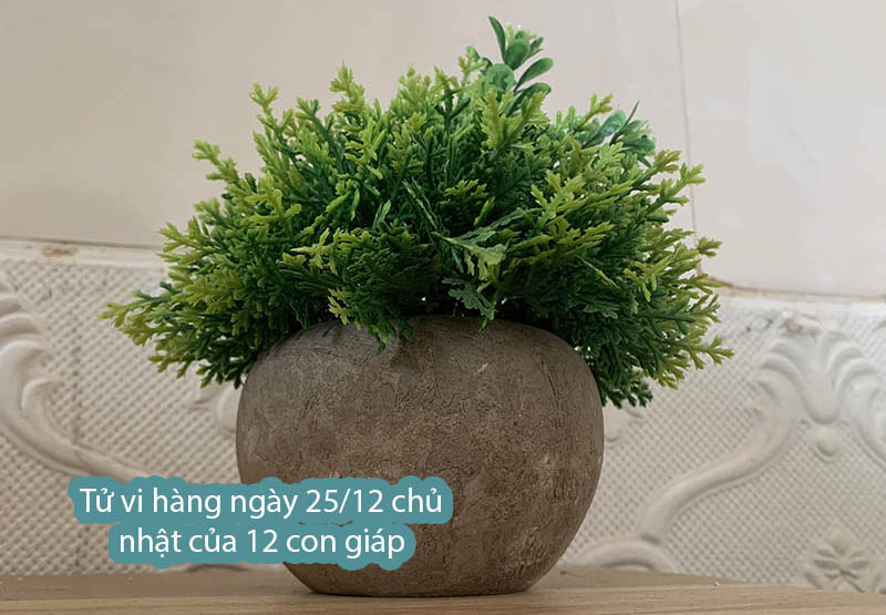 Tử vi hàng ngày 25/12 chủ nhật của 12 con giáp