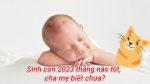 Sinh con 2023 tháng nào tốt, cha mẹ biết chưa