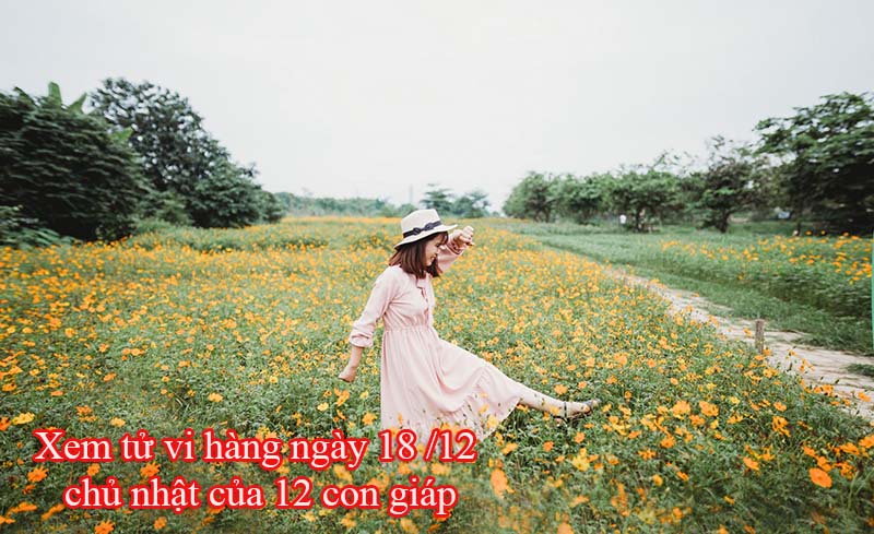 Xem tử vi hàng ngày 21 /12 thứ 4 của 12 con giáp