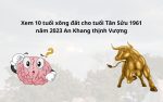 Xem 10 tuổi xông đất cho tuổi Tân Sửu 1961 năm 2023 An Khang thịnh Vượng