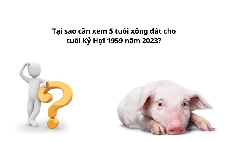 Tại sao cần xem 5 tuổi xông đất cho tuổi Kỷ Hợi 1959 năm 2023?