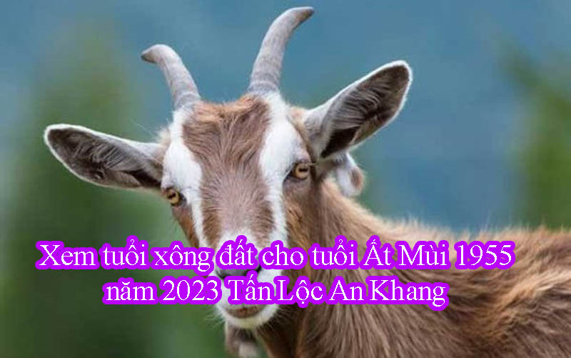 Xem tuổi xông đất cho tuổi Ất Mùi 1955 năm 2023 Tấn Lộc An Khang