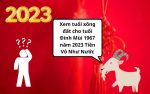 Xem tuổi xông đất cho tuổi Đinh Mùi 1967 năm 2023 Tiền Vô Như Nước