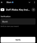 Defi risks key insights blum code